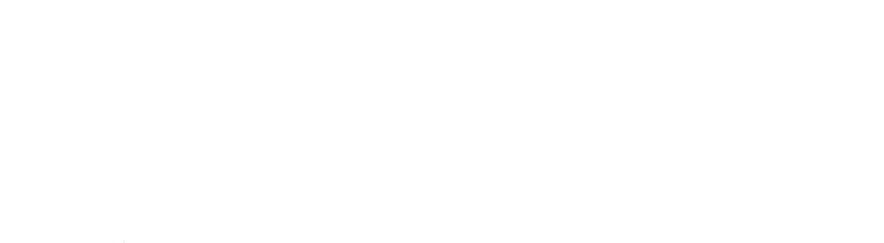 Vantage Career Design